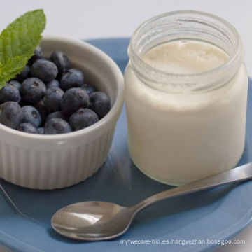 Yogur natural sano y probiótico con cultivos vivos